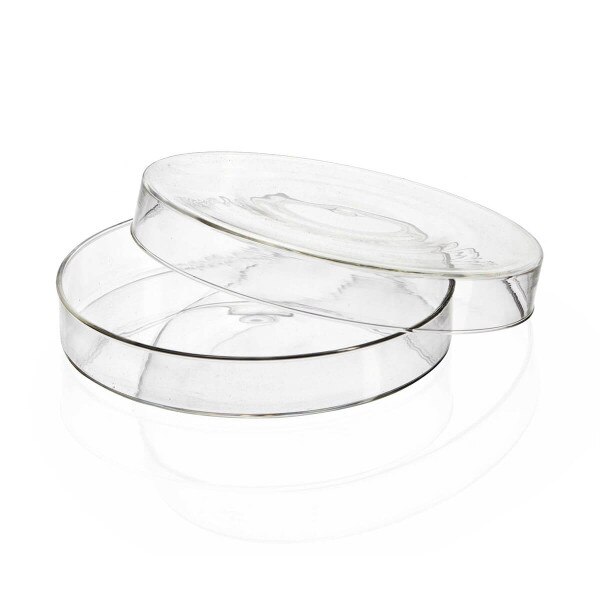 Glass petri dish, 120 x 20 mm